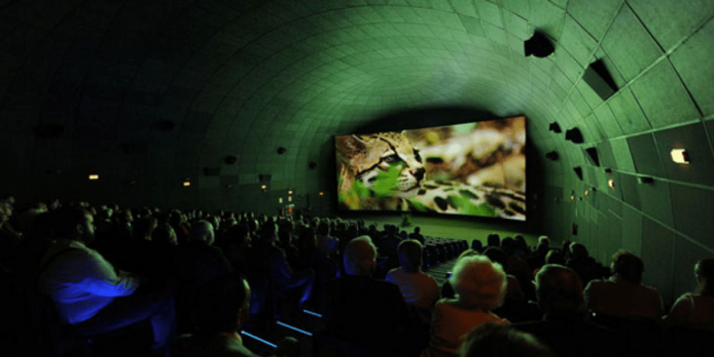 Festival Internacional de Cine&nbsp;Ambiental