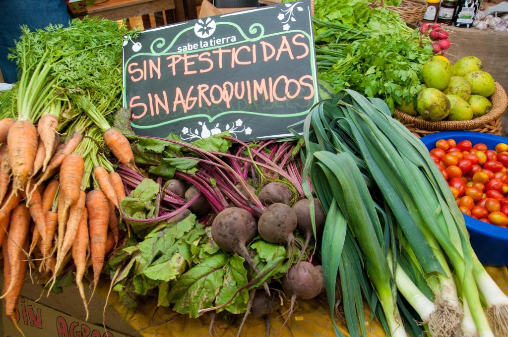 Más tiempo para visitar la feria «Sabe la&nbsp;Tierra»
