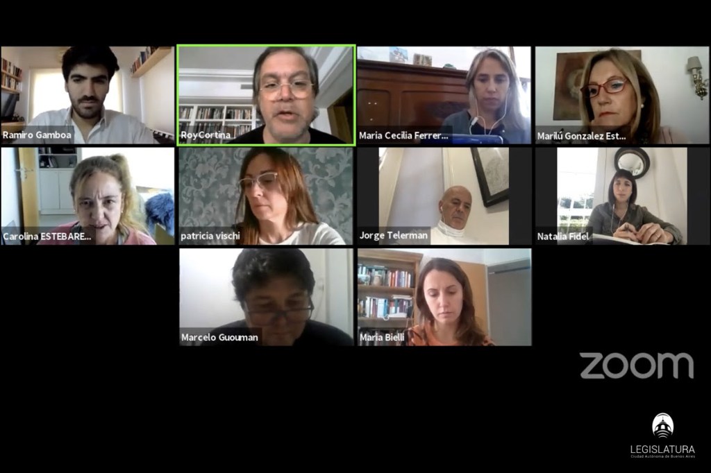 Telerman se reunió con la Comisión de Cultura&nbsp;legislativa