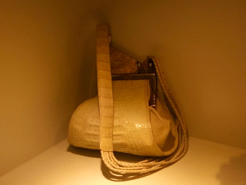 Operativo en local de Recoleta que vendía productos prohibidos por la ley de&nbsp;fauna