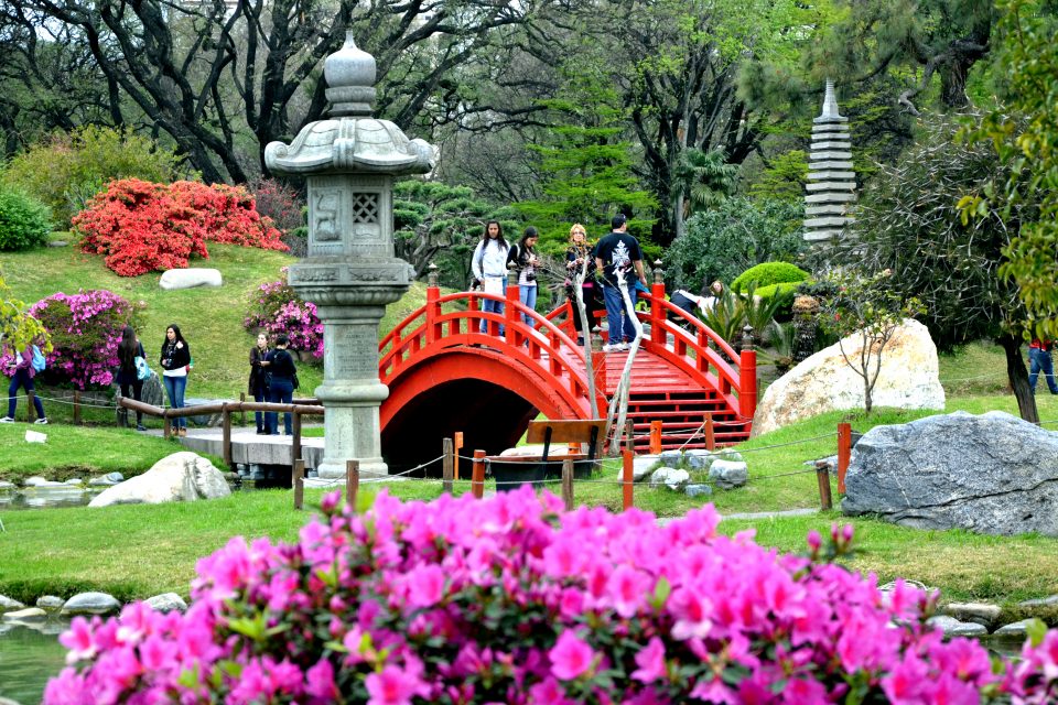 Primavera en el Jardin&nbsp;Japones