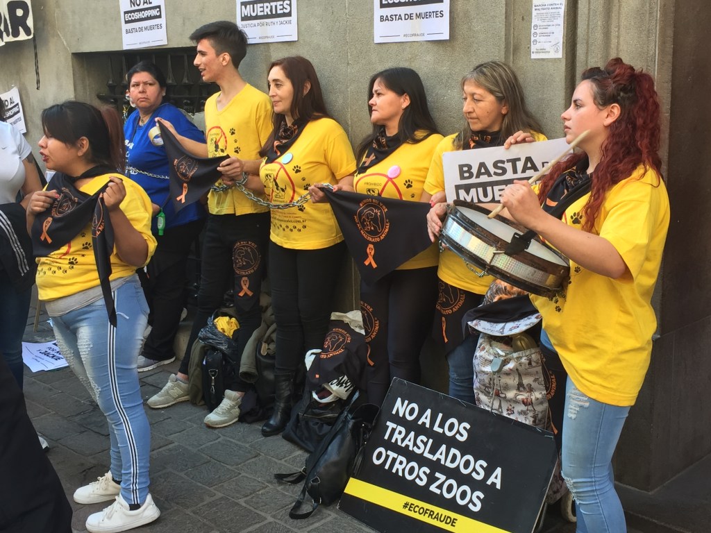 Manifestaciones contra el Ecoparque, dentro y fuera de la&nbsp;Legislatura