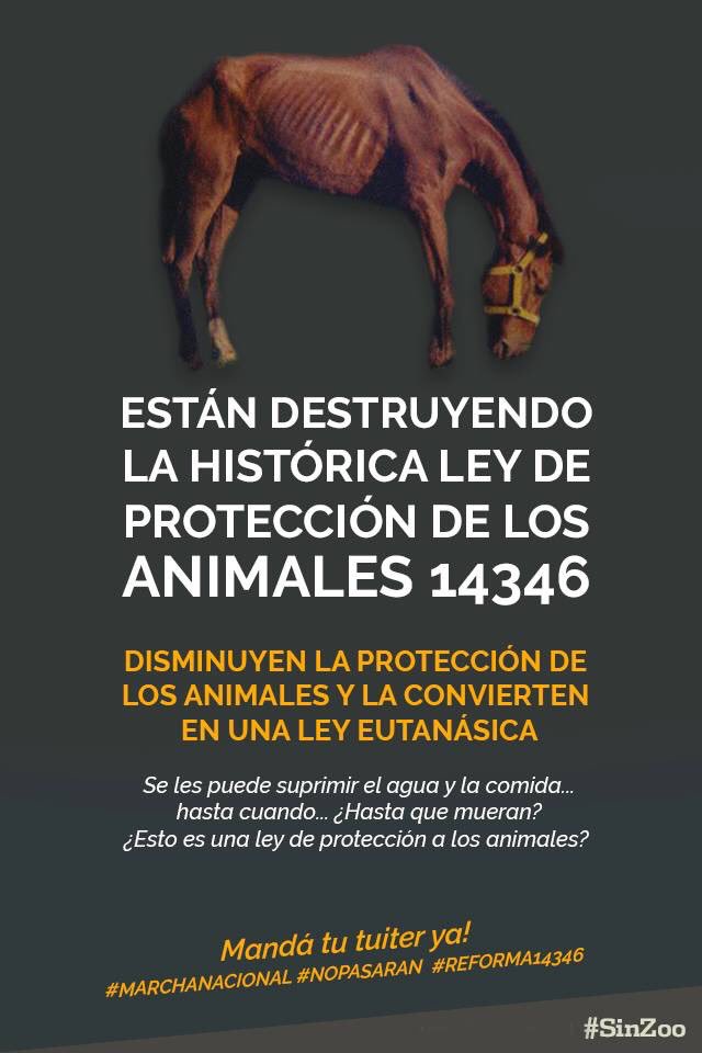 Manifestación en el Congreso por «Traición a los&nbsp;animales»