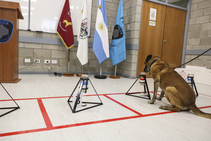 La Policía de la Ciudad incorporó&nbsp;perros