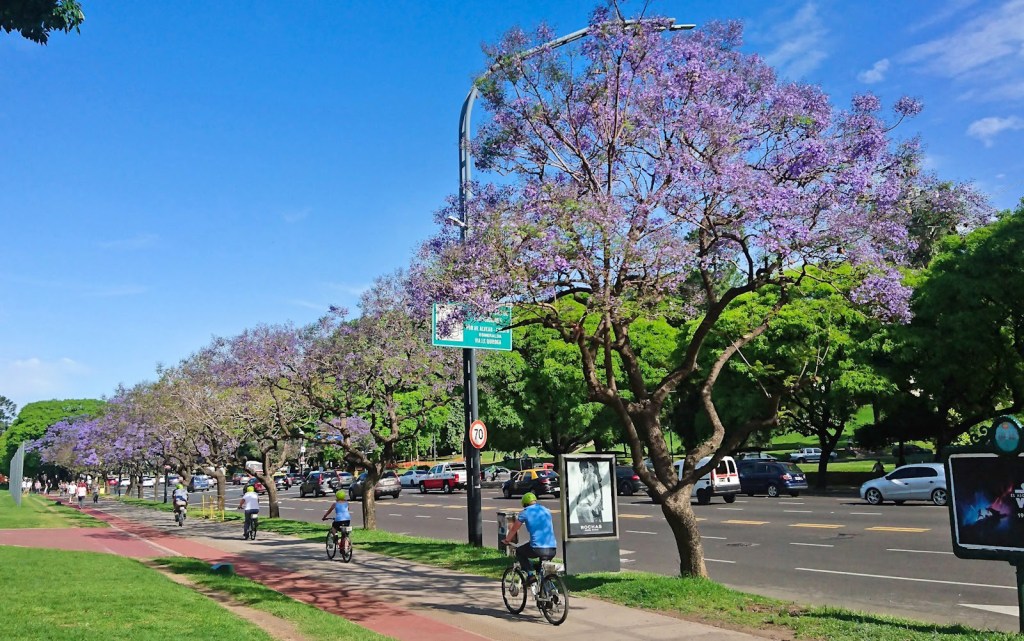 Día Mundial del Medio Ambiente: la Ciudad plantará más de 22 mil&nbsp;árboles