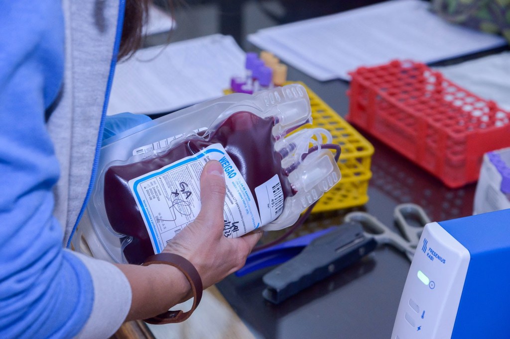 Día del donante de médula ósea: la legislatura porteña realizará una jornada de donación de&nbsp;sangre