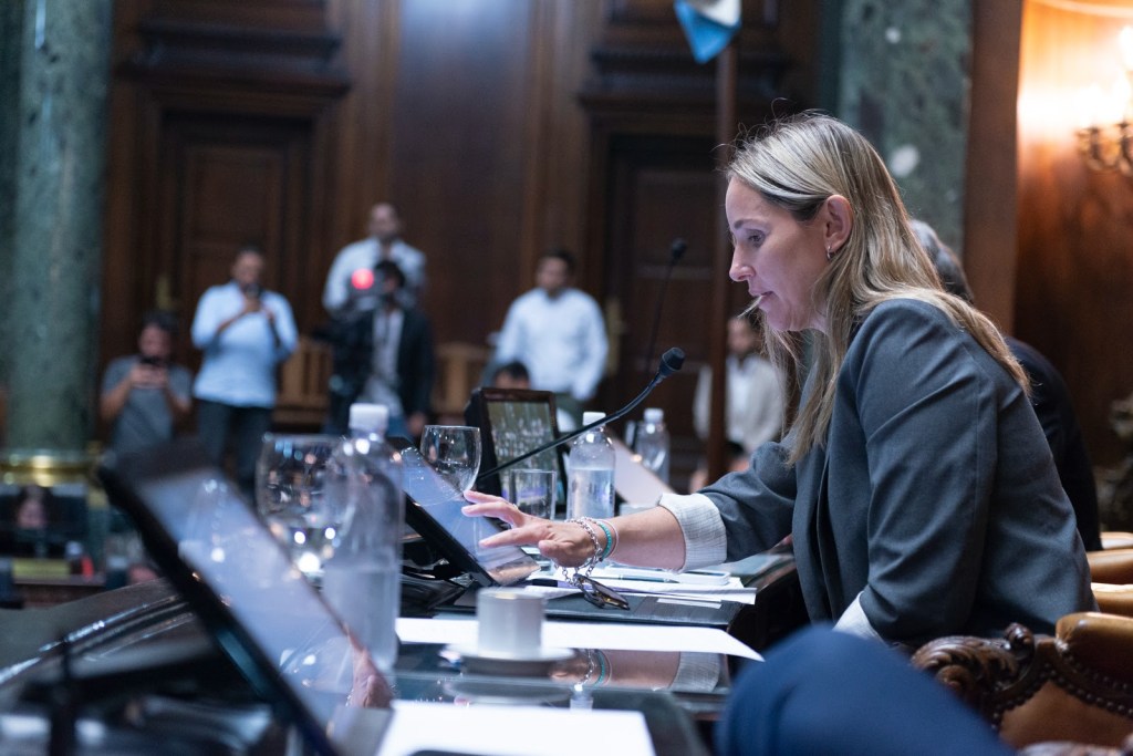 La Legislatura aprobó la suspensión de las PASO en Sesión&nbsp;Extraordinaria