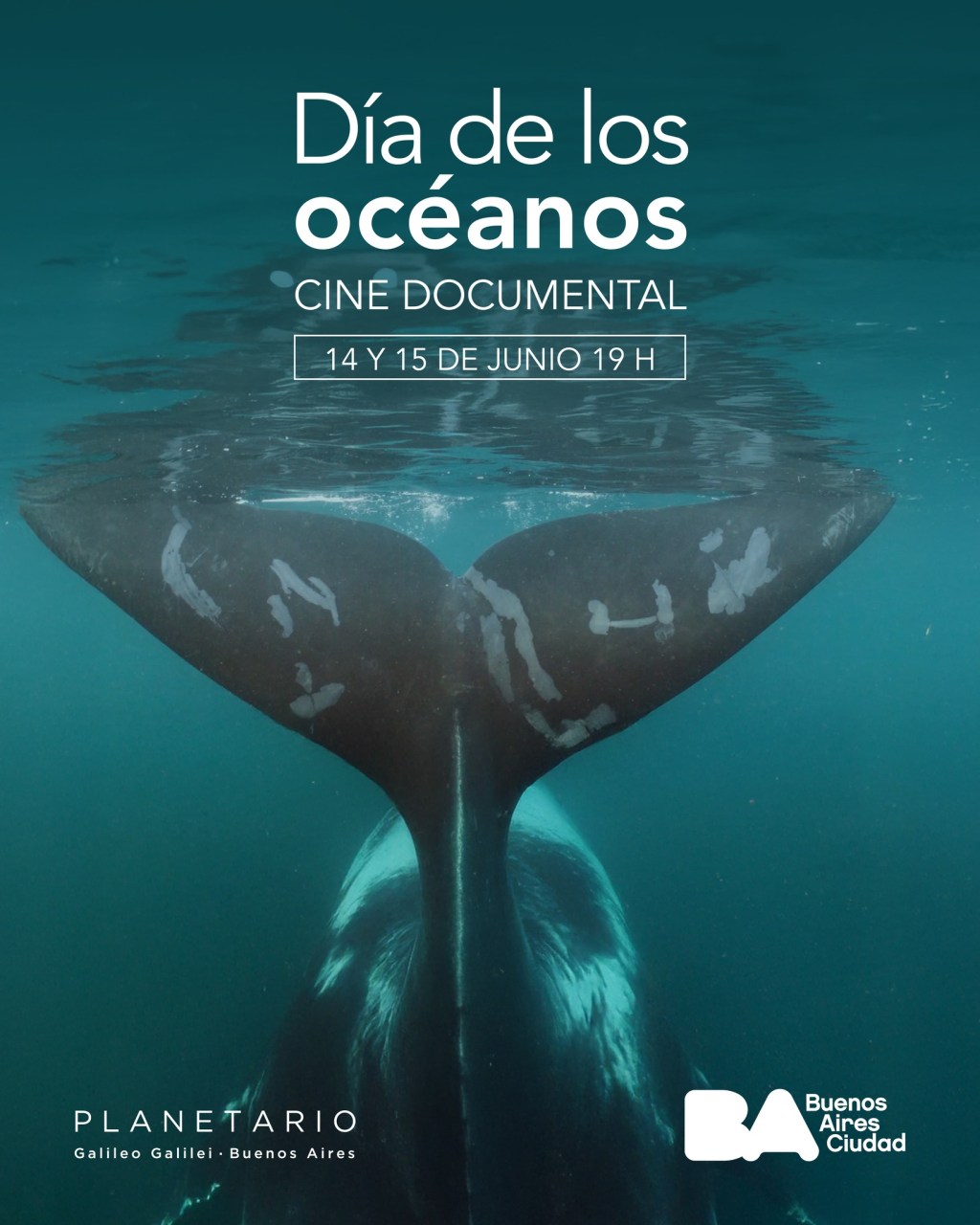 El Planetario Galileo Galilei celebra este fin de semana el Día Mundial de los&nbsp;Océanos