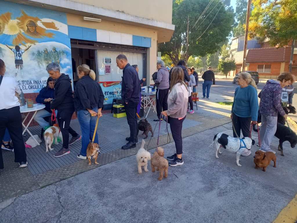 Operativos de salud&nbsp;zoonótica