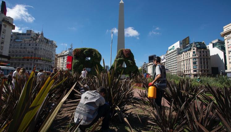 Desratización en la ciudad: ¿como solicitar el&nbsp;servicio?