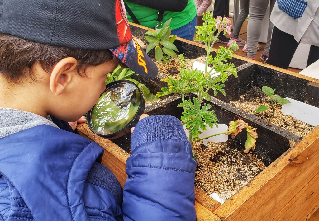Comenzó la postulación al Reconocimiento Escuelas&nbsp;Verdes