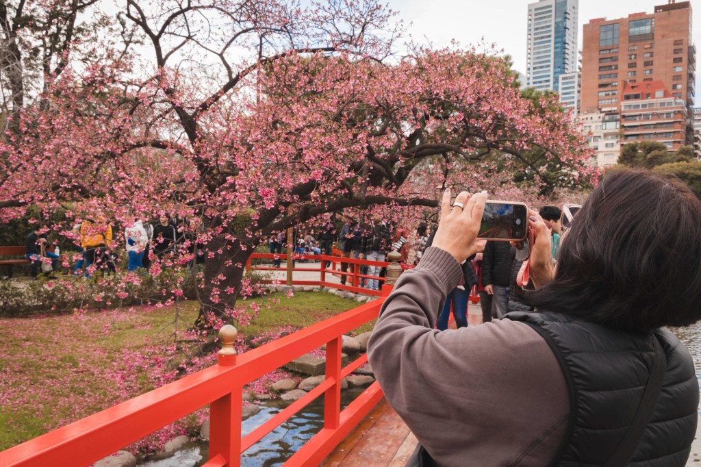 Los imperdibles para disfrutar el fin de semana en la&nbsp;Ciudad