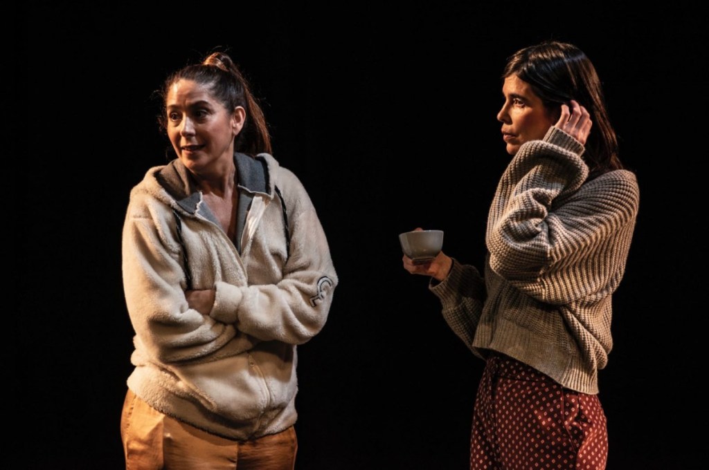 Teatro en el Centro Cultural Borges: Los gestos&nbsp;bárbaros