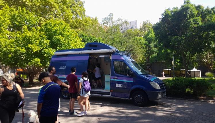 Castración y vacunación antirrábica gratuita: nuevos días y&nbsp;horarios