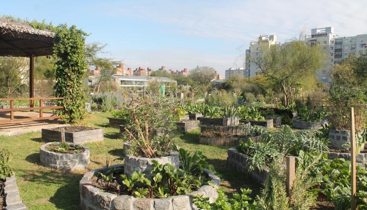 Visitas guiadas en el Paseo Ambiental del&nbsp;Sur